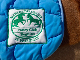 riding school on poneys for kids in gland